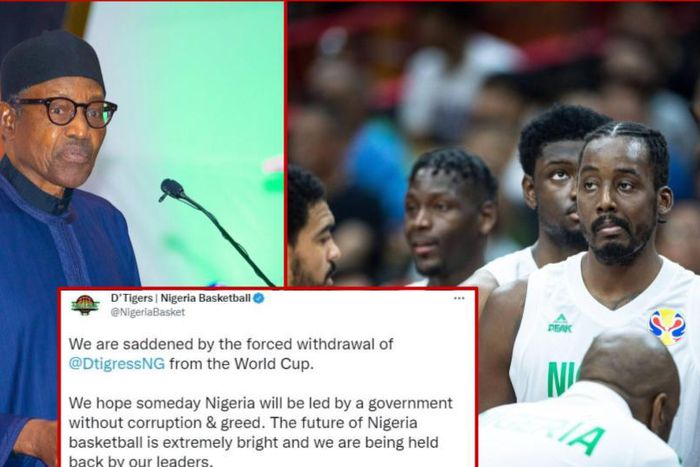 D'Tigers fire back at Nigerian government