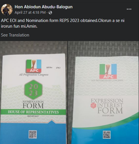 Screenshot of Abiodun Abudu-Balogun's nomination forms (FacebookAbiodun Abudu Balogun)