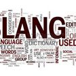 ___9199263___2018___12___14___11___slang
