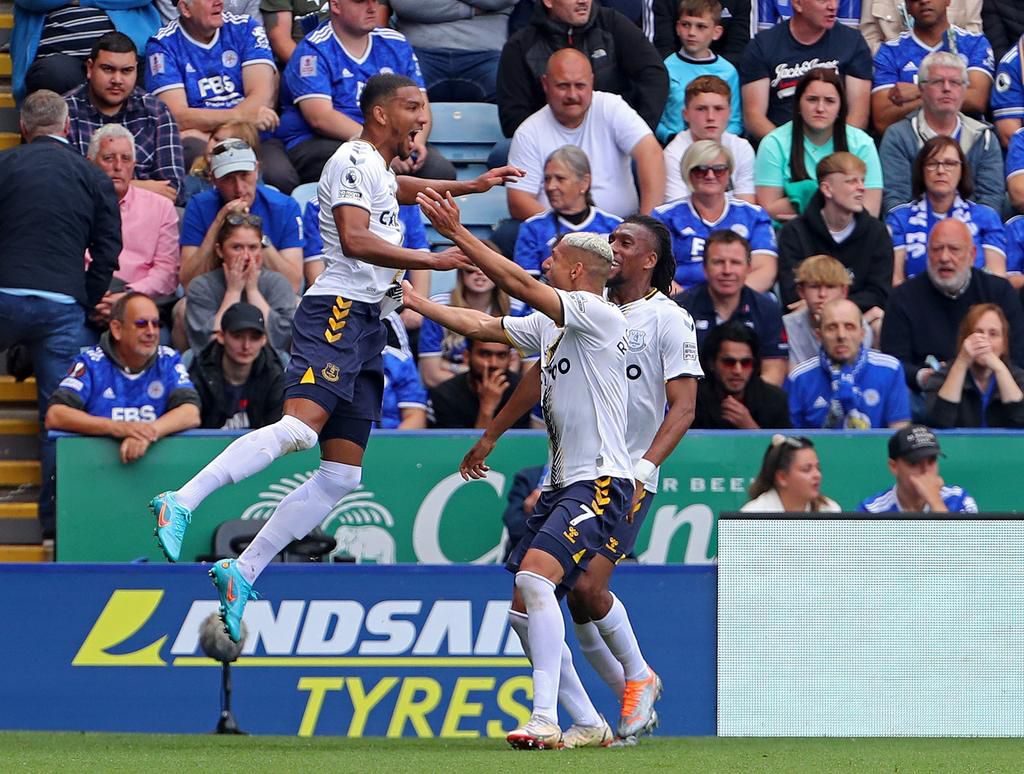 A step closer to safety for Everton