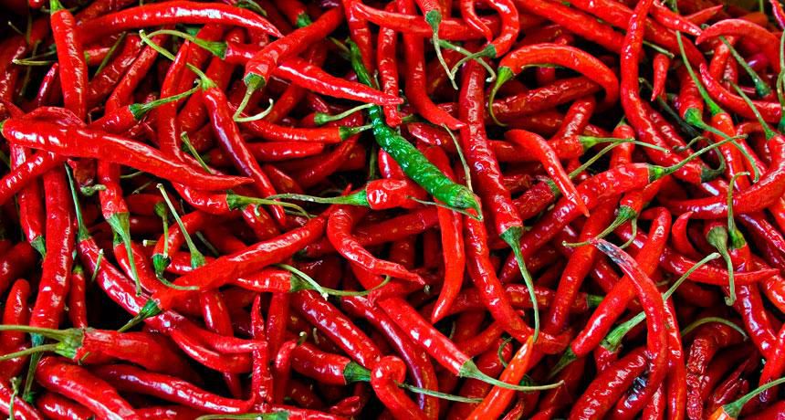 Hot peppers
