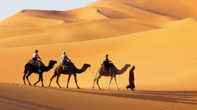 Enjoy a desert safari in Dubai [BookMundi]