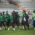Super Eagles