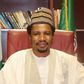 Senator Elisha Abbo represents Adamawa North in the upper legislative chamber (Abbo's media reps)
