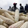 Kenyan corn market