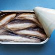 Sardines