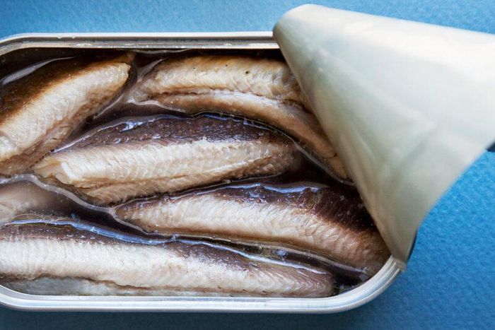 Sardines