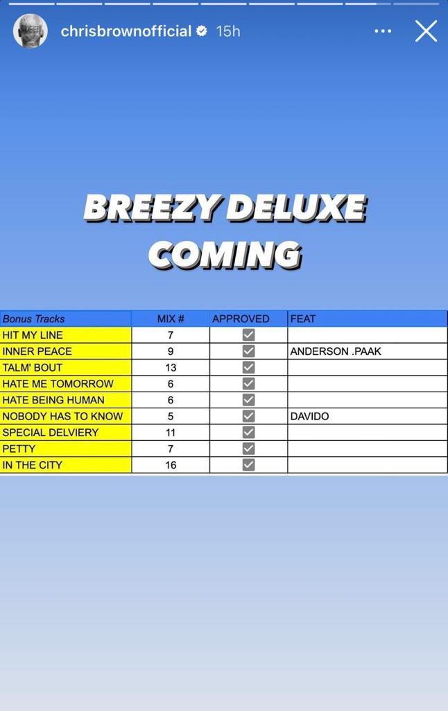 Chris Brown's Instagram Story