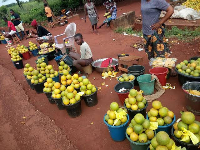 Benue state - Food basket of the nation