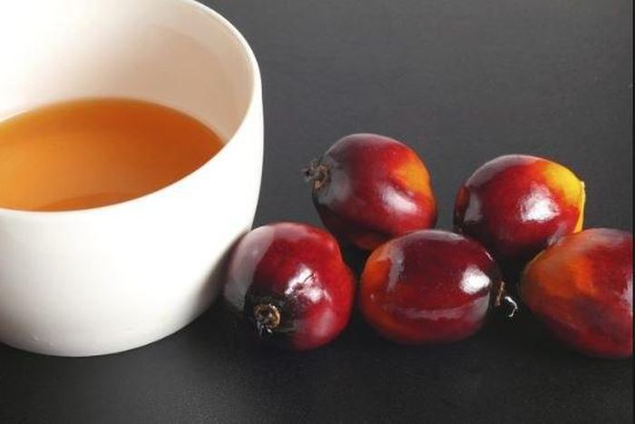 Health benefits of Palm Kernel Oil