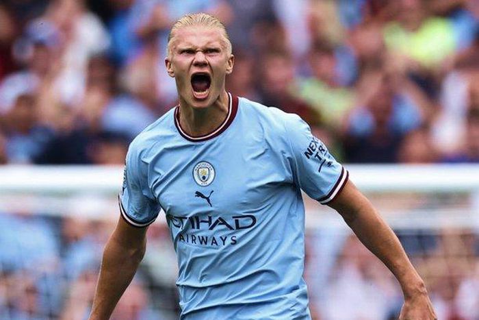 Erling Haaland (Twitter/Pulse Sports Nigeria)