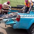 FRSC blames speeding as 4 die, 5 injured in Lagos-Ibadan crash