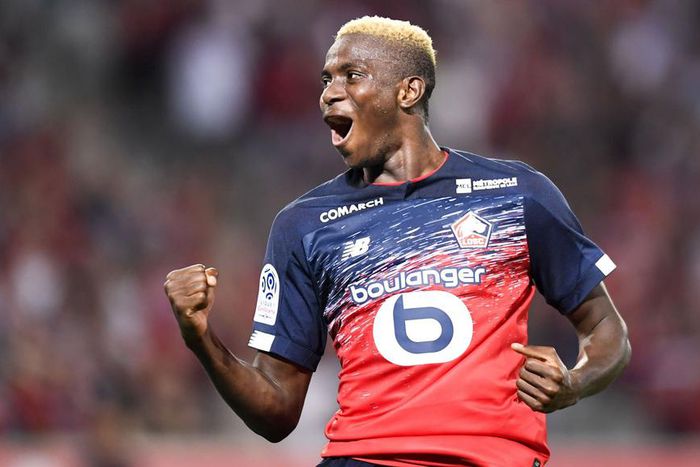 Victor Osimhen (Twitter/Lille)