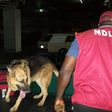 NDLEA officials
