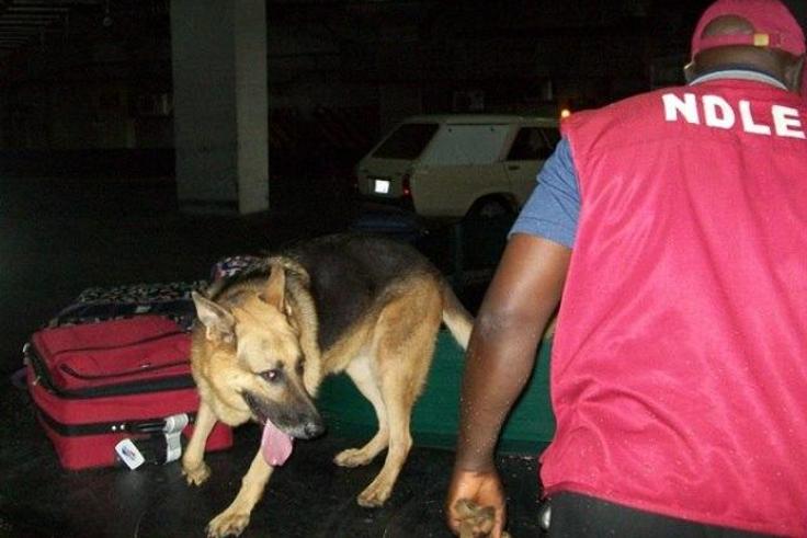 NDLEA officials