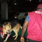 NDLEA officials