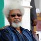 Nigerian Literature Nobel Wole Soyinka has been a regular teacher at US universities including Harvard, Cornell and Yale