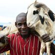 Eid is referred to as Sallah in Nigeria [BBC]