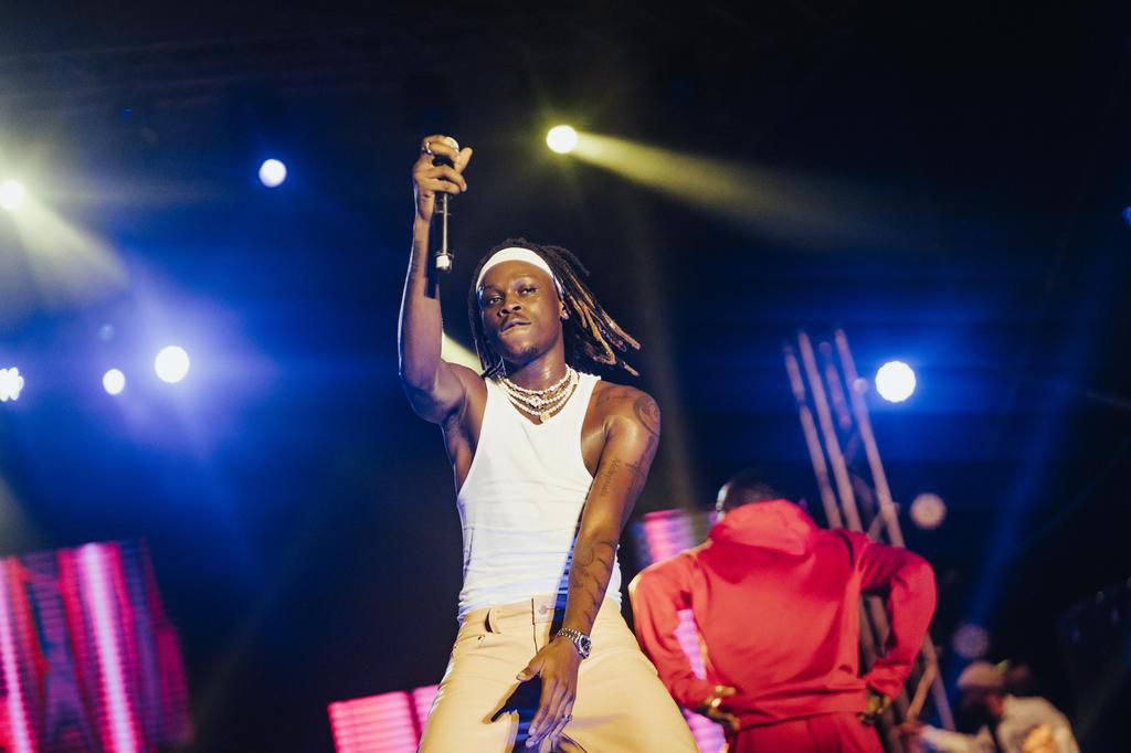 Fireboy, Wande Coal, Ayra Starr, others thrill fans at ‘The Live In Concert’