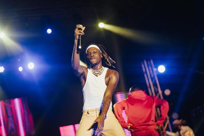 Fireboy, Wande Coal, Ayra Starr, others thrill fans at ‘The Live In Concert’