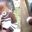 Police issue warning after video of child endorsing George Wajackoya goes viral