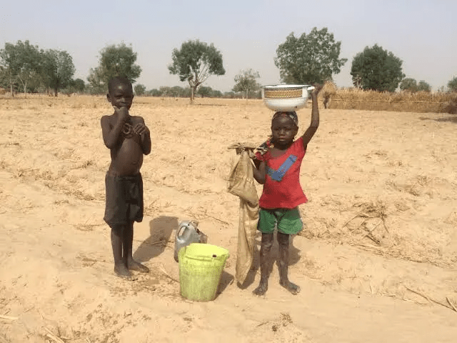 Kano water scarcity (Herald)