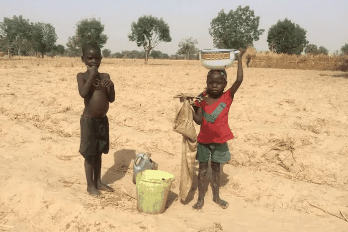 Kano water scarcity (Herald)
