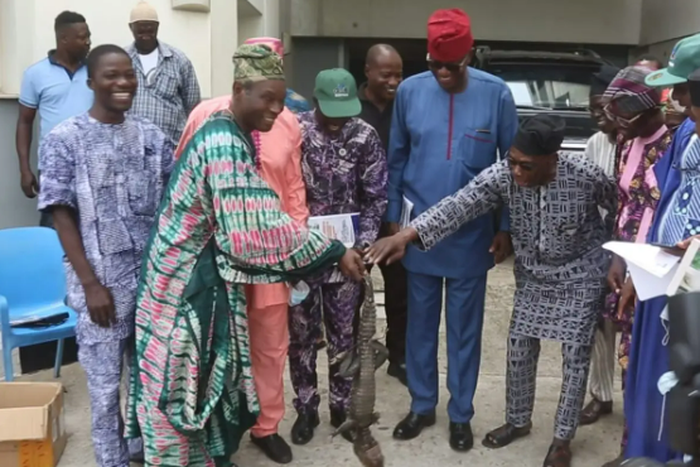 Rubber producers present life crocodile to Obasanjo, say they can't give him money (Daily Trust)