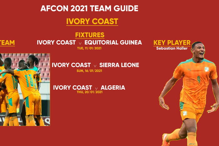 Ivory coast Afcon team guide