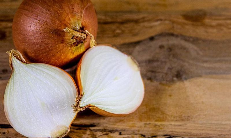 Onions helps to relieve toothache [utopia.org]
