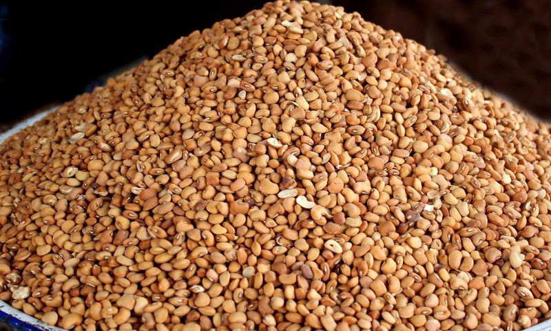 Beans