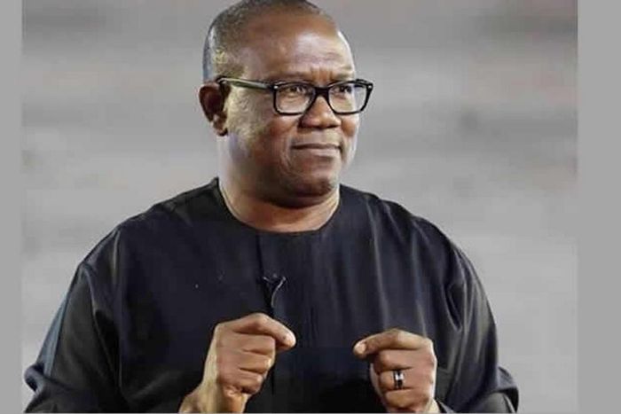 Former Governor of Anambra state, Peter Obi (National Daily Newspaper)