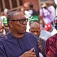 Peter Obi [Twitter/@bolanle cole]