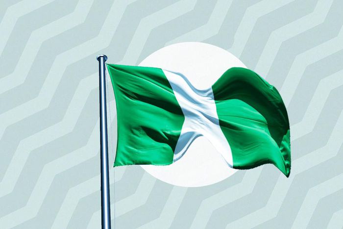 Nigerian Flag (Stears Business)