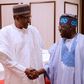 President Muhammadu Buhari and Asiwaju Bola Tinubu meet at the villa