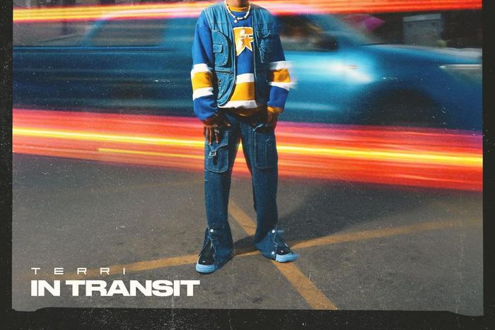 Terri In Transit EP cover