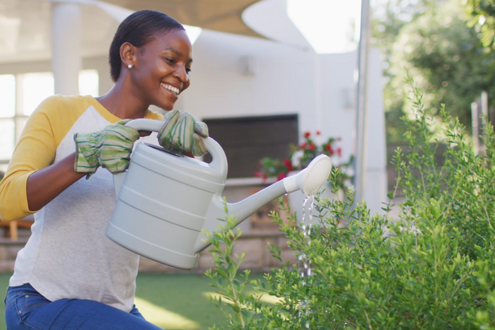 Never invest in something you do not understand