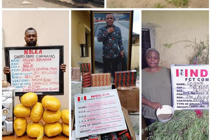 NDLEA arrests 8 suspected bandits in Ondo forest. [Twitter:NDLEA]