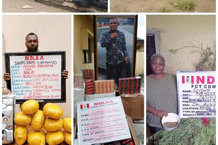 NDLEA arrests 8 suspected bandits in Ondo forest. [Twitter:NDLEA]