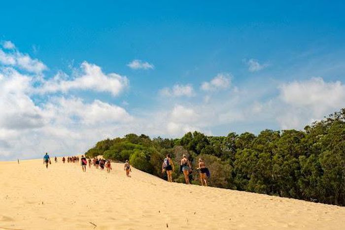 Safety tips to implement when visiting national parks