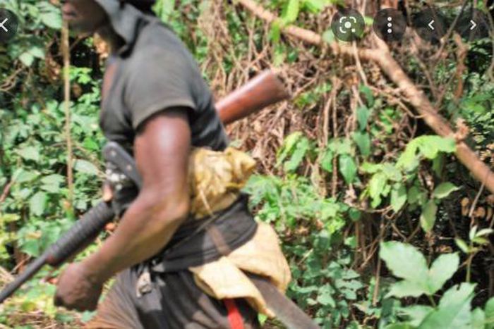 Hunters confess to shooting cleric dead, says he aimed at antelope