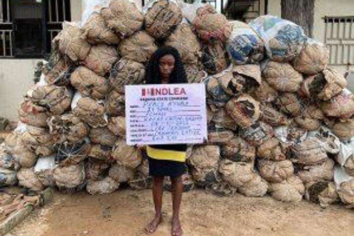 Bags of cannabis intercepted by the NDLEA.