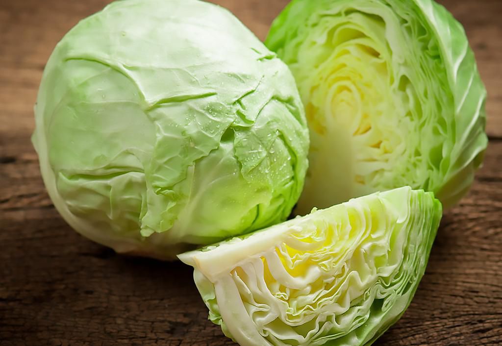 Cabbage