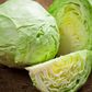 Cabbage