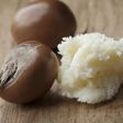 Shea butter has immense benefits for the skin [vitagene]
