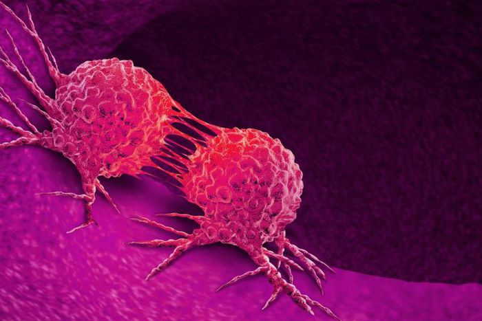 Cancer is caused by cell mutation [Everydayhealth]