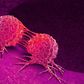 Cancer is caused by cell mutation [Everydayhealth]