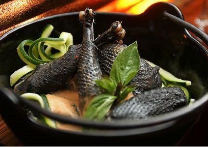 Ayam Cemani black chicken