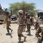 Troops kill over 35 ISWAP terrorists in Borno border clash
