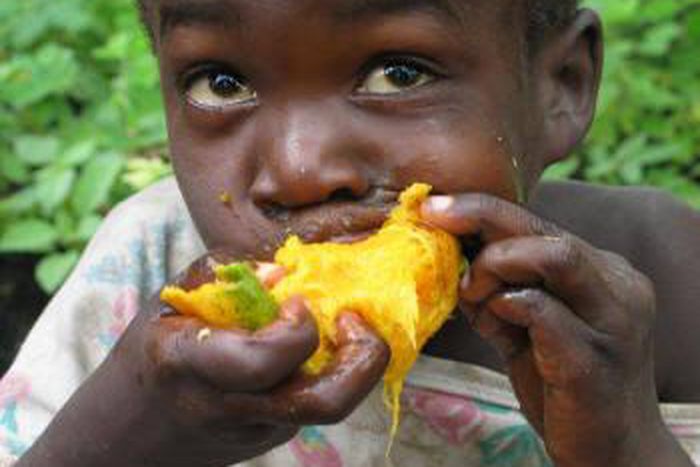 Mangoes are everywhere right now [Scooper]